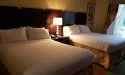 Green Getaways: How Smart Stays Can Transform Travel