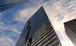 Why Every Business in New Zealand Needs an Insurance Broker